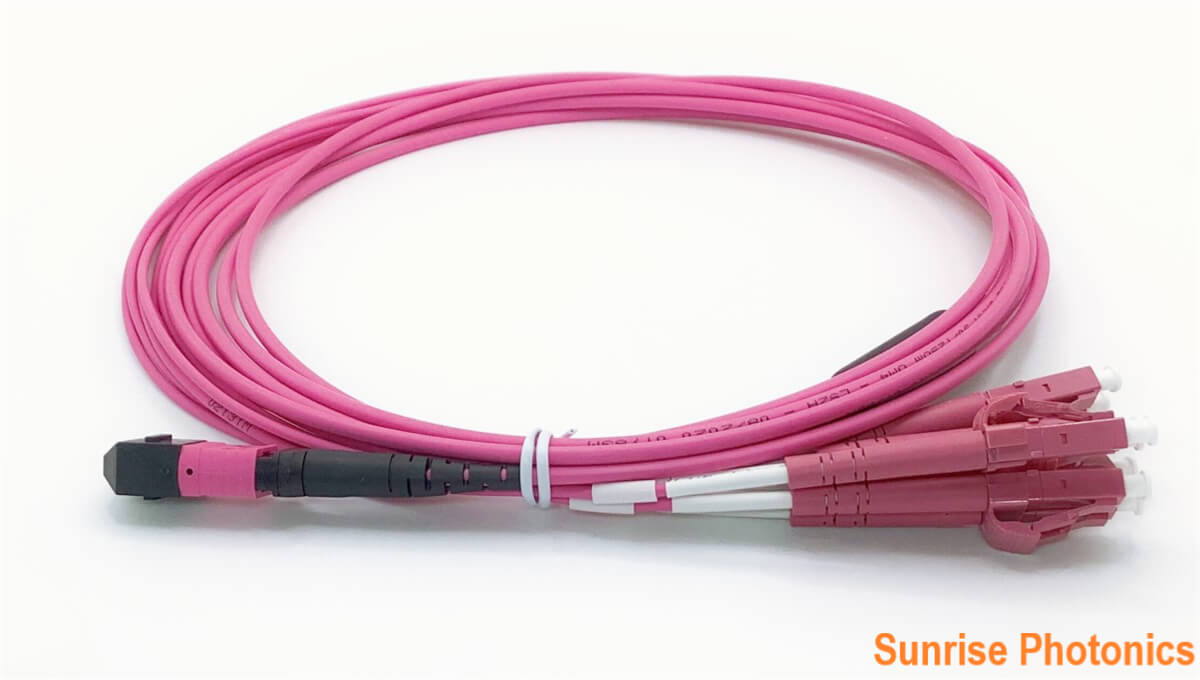 om4mpoharness