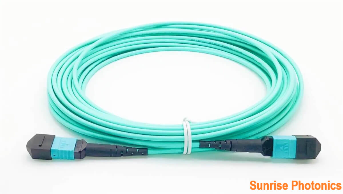 24F OM4 MPO cable