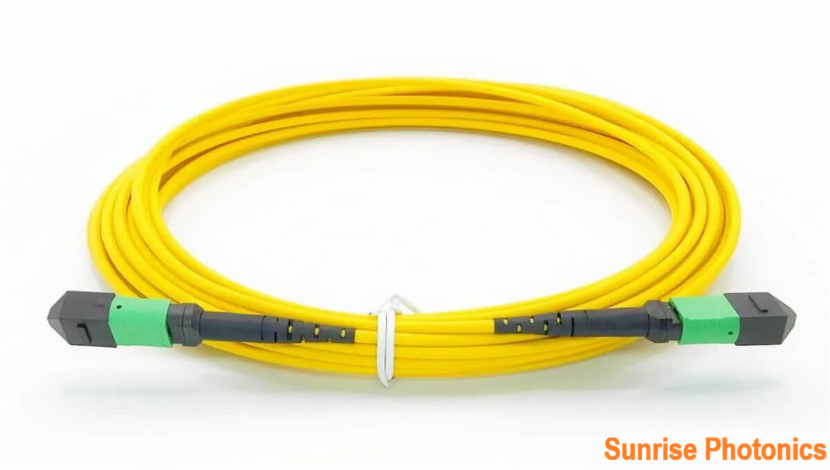 Single Mode OS2 MPO to MPO Fiber Patch Cable, 24 Fiber