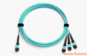MPO/MTP-24 to 3 x MPO/MTP-8 OM4 Multimode Conversion Harness Cable, 24 Fibers