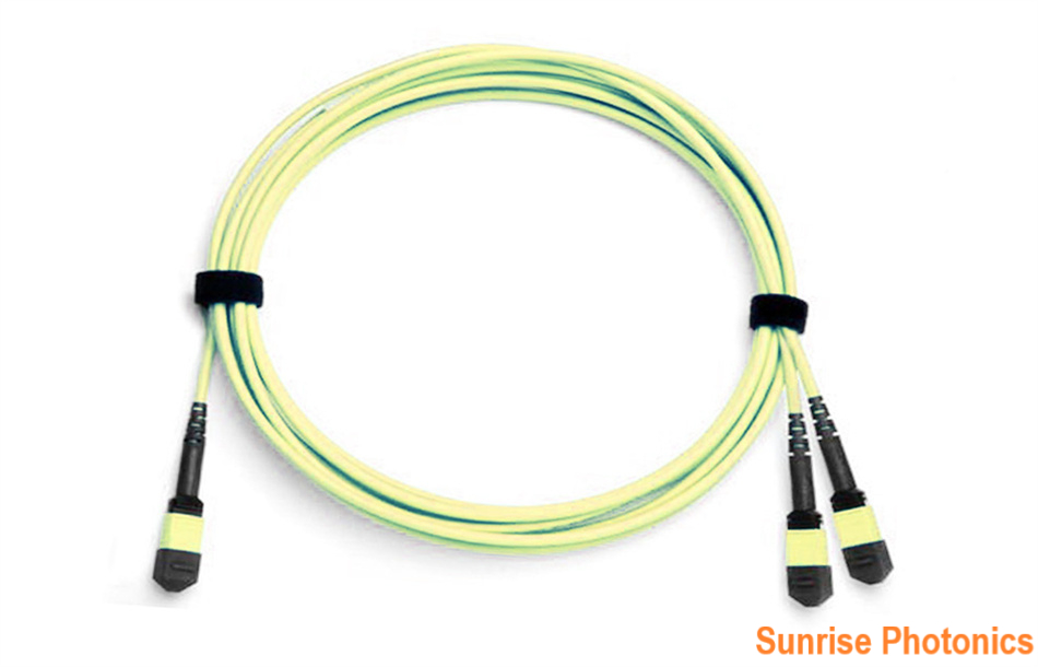 MPO/MTP-16 to 2 x MPO/MTP-8 OS2 Single mode Conversion Harness Cable, 16 Fibers