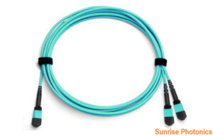 MPO/MTP-24 to 2 x MPO/MTP-12 OM4 Multimode Conversion Harness Cable, 24 Fibers