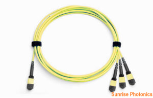 MPO/MTP-24 to 3 x MPO/MTP-8 OS2 Single mode Conversion Harness Cable, 24 Fibers