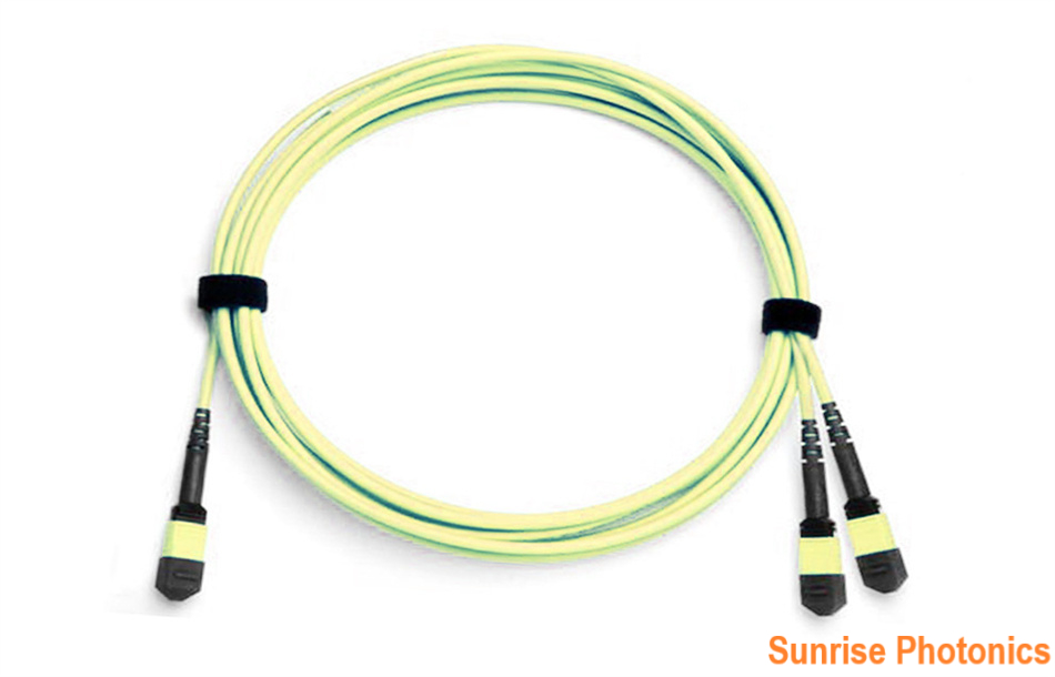 sunrisephotonics005 MPO/MTP-24 to 2 x MPO/MTP-12 OS2 Single mode Conversion Harness Cable, 24 Fibers