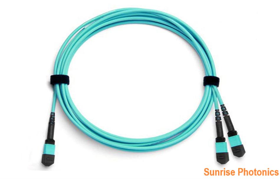 MPO/MTP-16 to 2 x MPO/MTP-8 OM4 Multimode Conversion Harness Cable, 16 Fibers