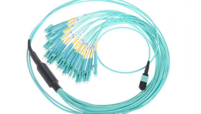 OM4 MPO/MTP to 24 LC cable
